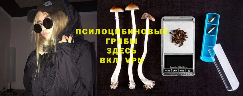 мега рабочий сайт  Избербаш  Псилоцибиновые грибы Psilocybine cubensis 